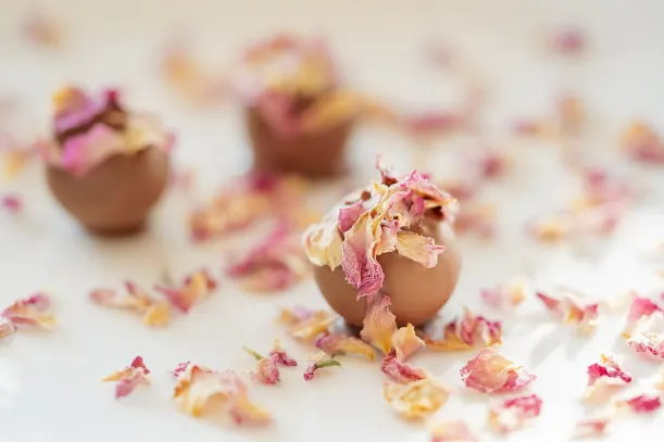 LottoKings Kasino Android/iOS Sovellus